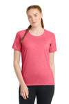 Pink Raspberry Heather