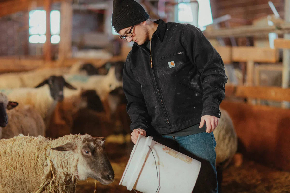 Carhartt Tall Duck Detroit Jacket